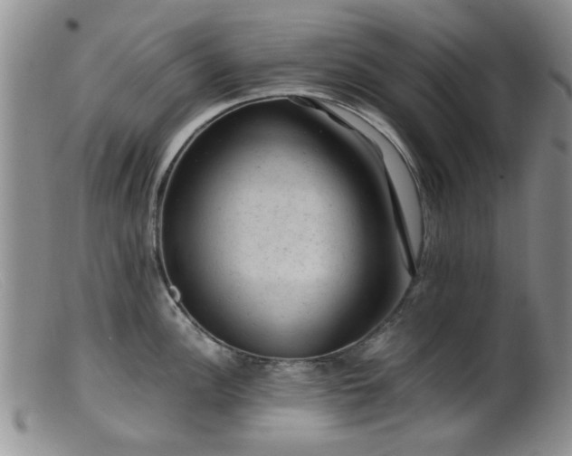 X0000099471148200805161105