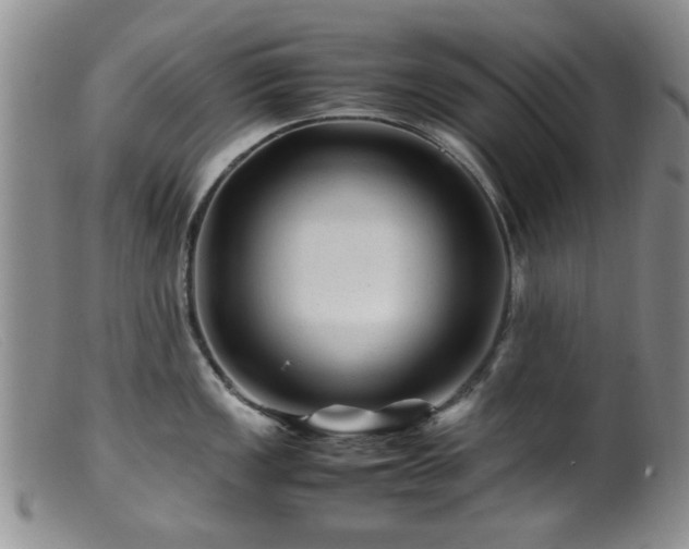 X0000099471149200805161105