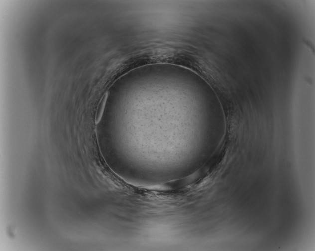 X0000099471153200805161104
