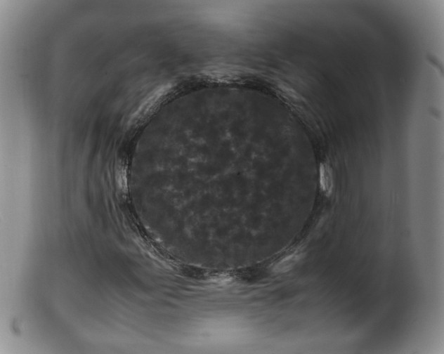 X0000099471155200805161104