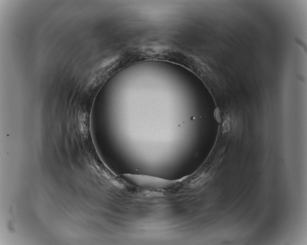 X0000099471156200805161104