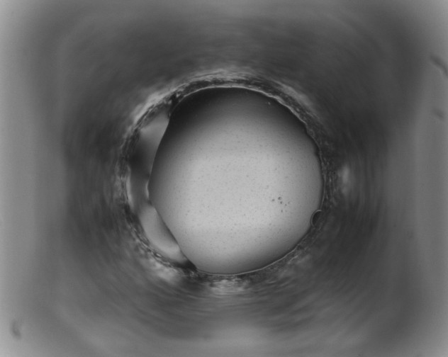 X0000099471160200805161104