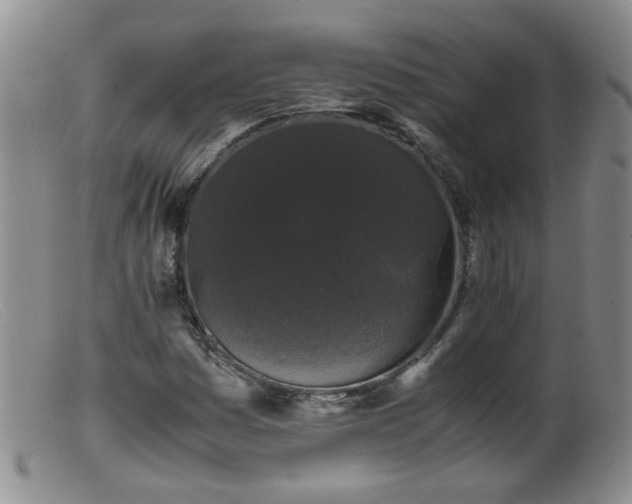 X0000099471161200805161104
