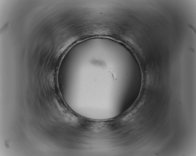 X0000099471162200805161104