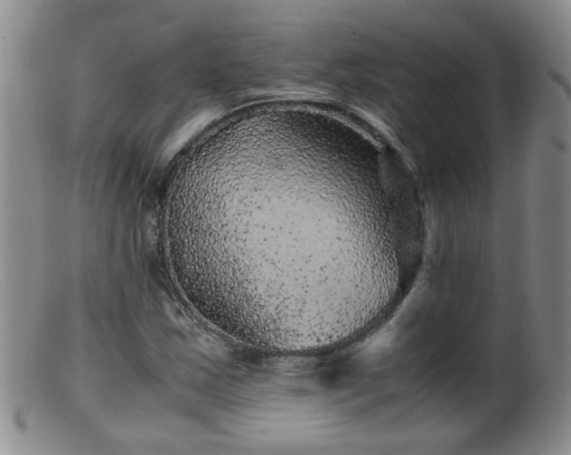 X0000099471163200805161104