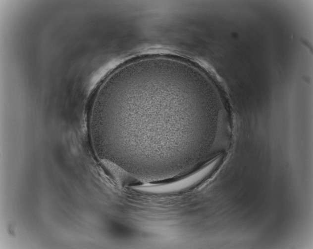 X0000099471167200805161104