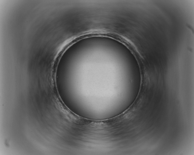 X0000099471168200805161104