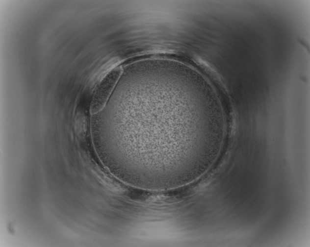 X0000099471169200805161104