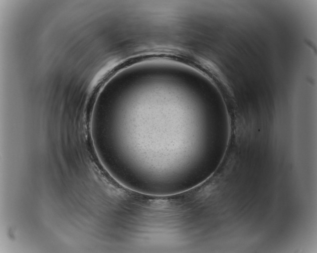 X0000099471172200805161104