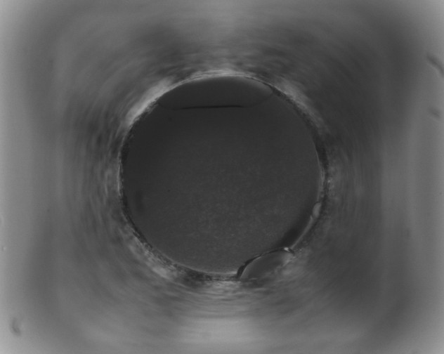 X0000099471173200805161104