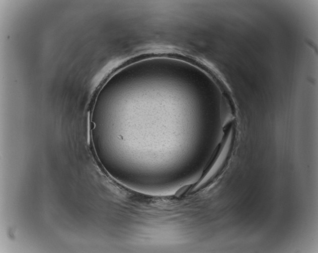 X0000099471175200805161104