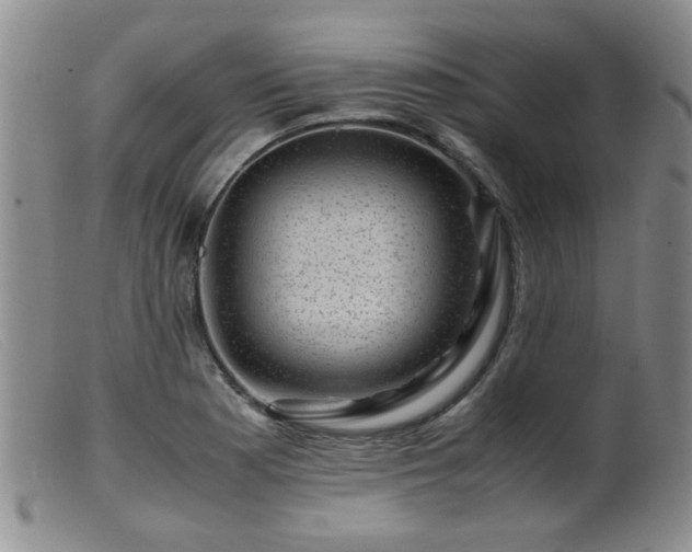 X0000099471177200805161104
