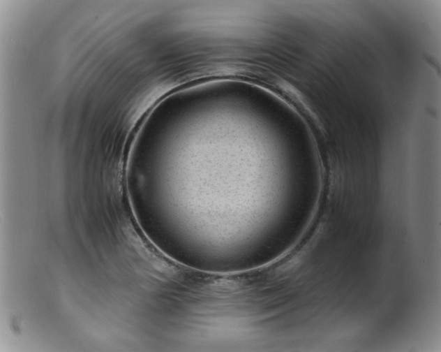 X0000099471178200805161104