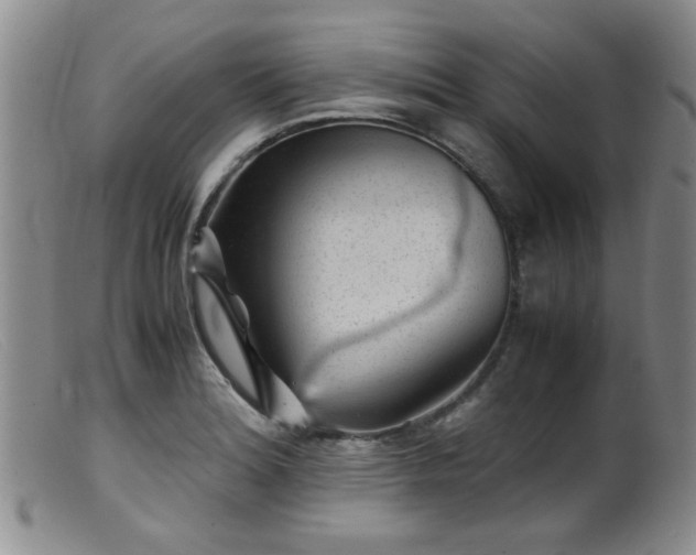 X0000099471180200805161104