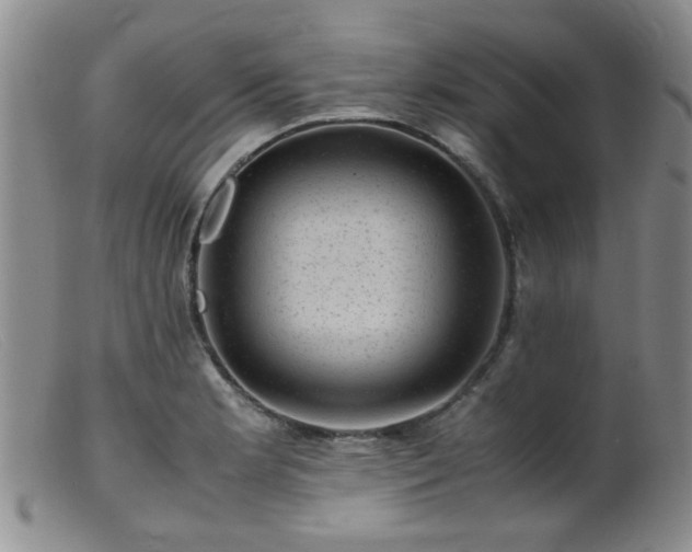 X0000099471181200805161104