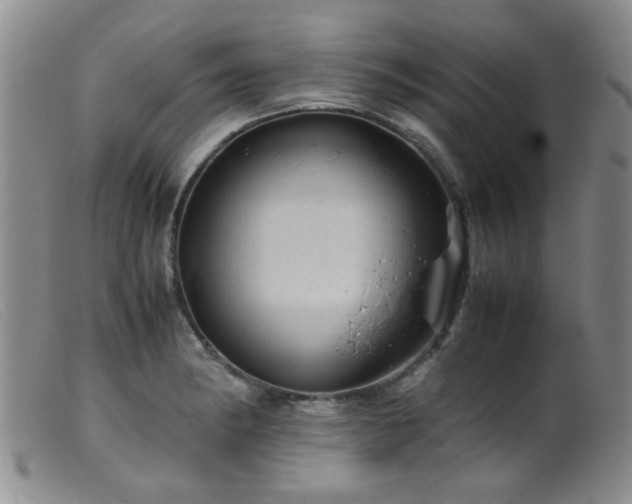 X0000099471182200805161104