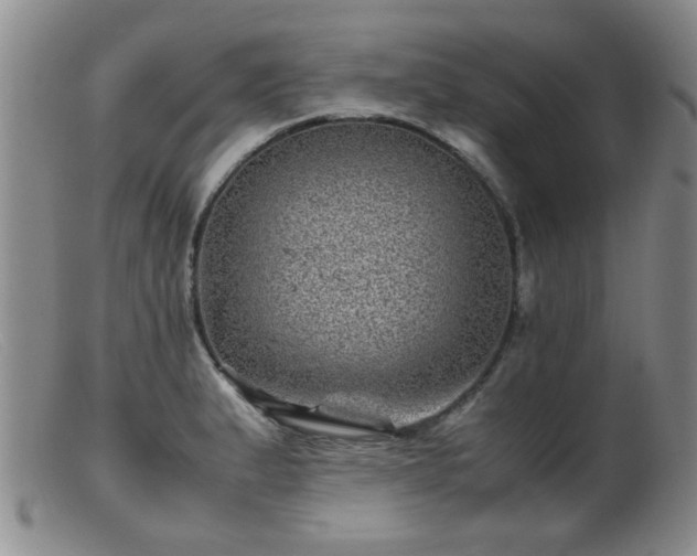 X0000099471183200805161104