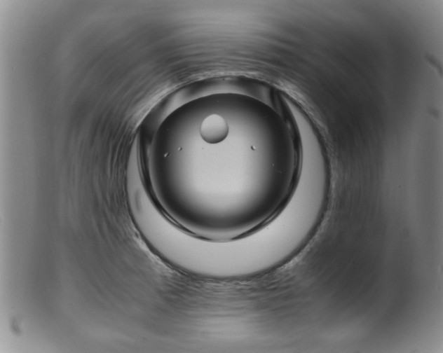 X0000099471185200805161104