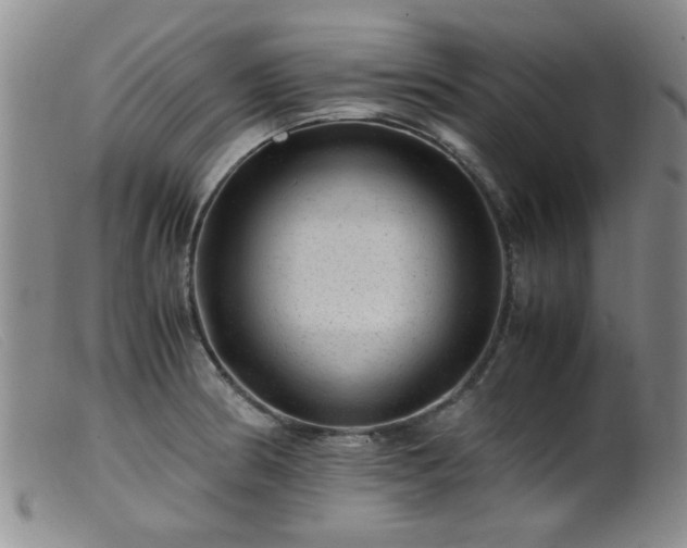 X0000099471186200805161103