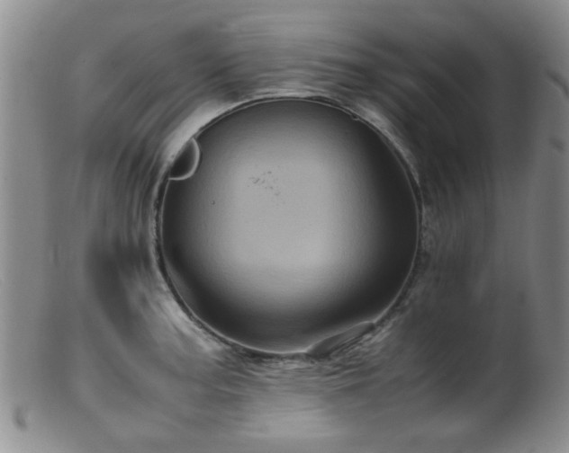 X0000099471187200805161103
