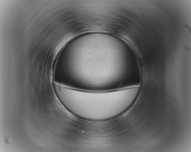 X0000099471188200805161103