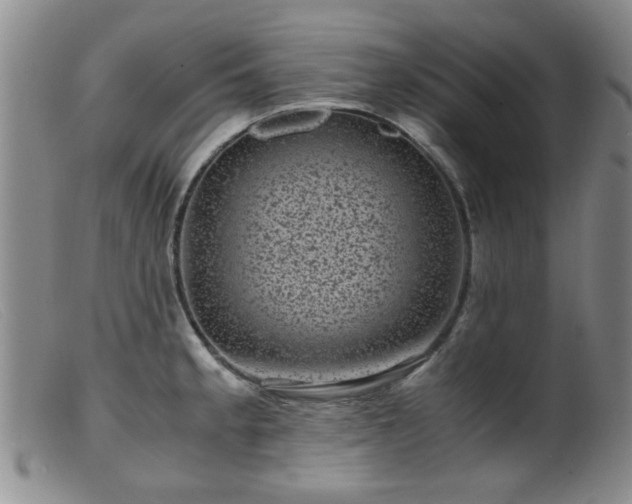 X0000099471189200805161103