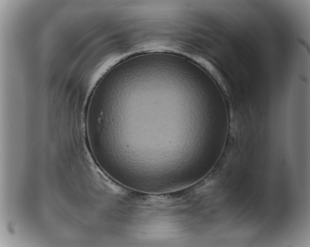 X0000099471191200805161103