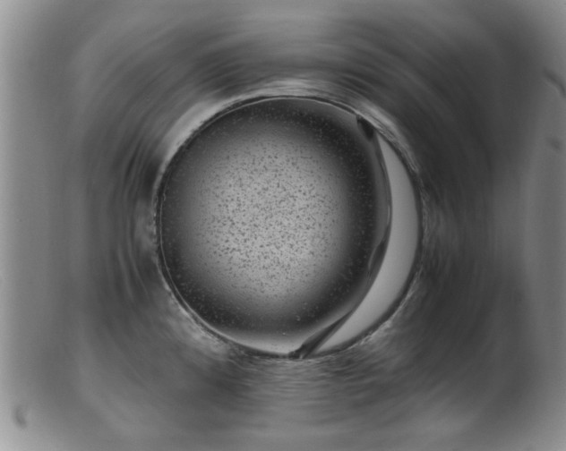X0000099471192200805161103
