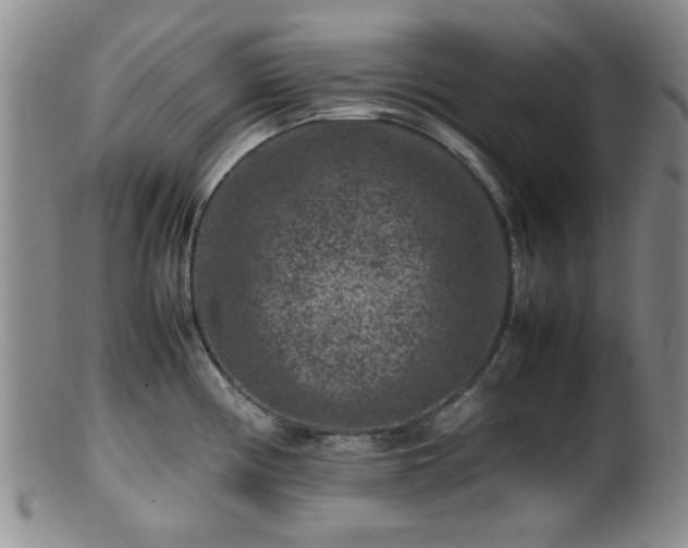 X0000099471194200805161103
