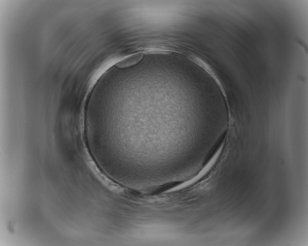 X0000099471195200805161103