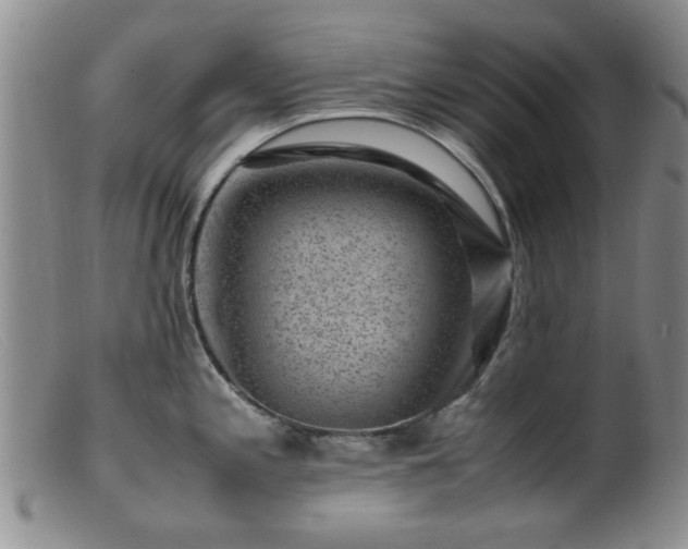 X0000099471197200805161103