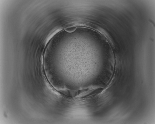 X0000099471198200805161103