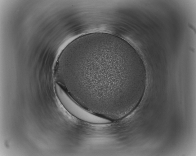 X0000099471200200805161103