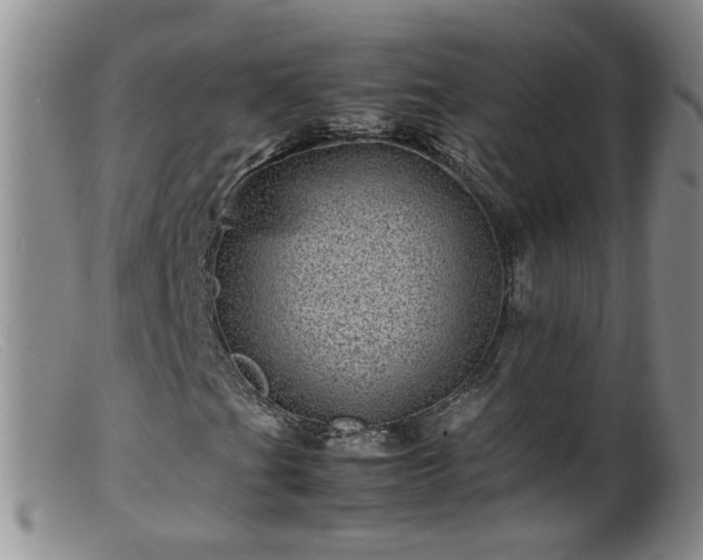 X0000099471201200805161103
