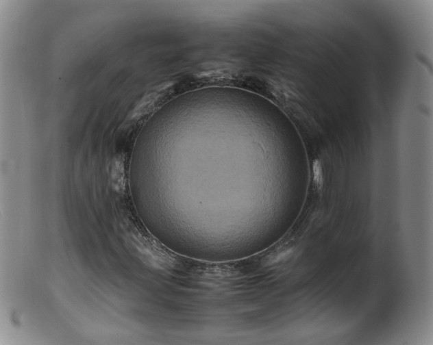 X0000099471203200805161103