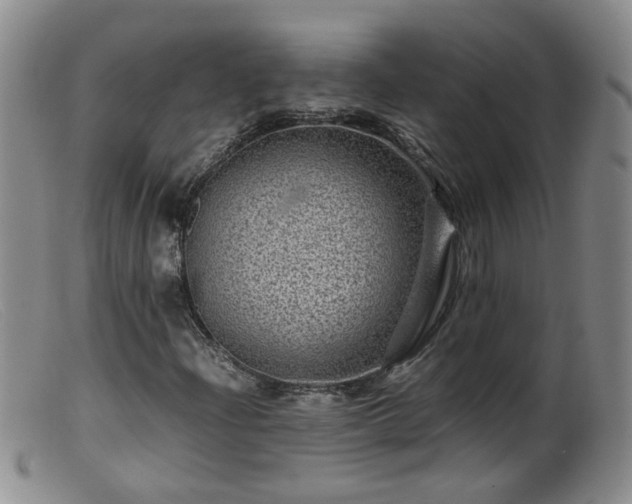 X0000099471204200805161103