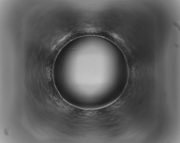 X0000099471205200805161103