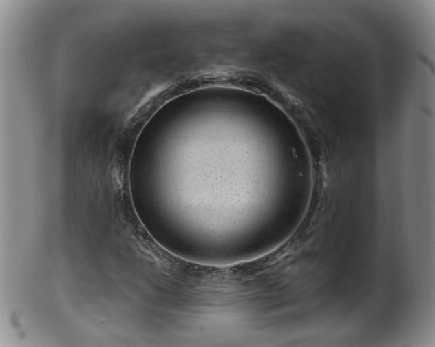X0000099471206200805161103