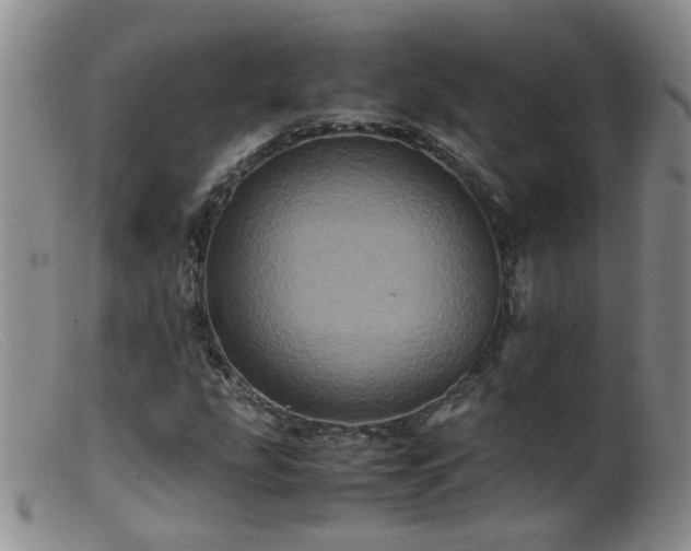 X0000099471207200805161103