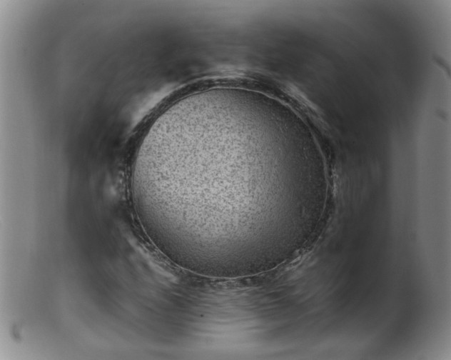 X0000099471208200805161103