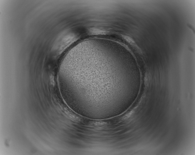 X0000099471209200805161103