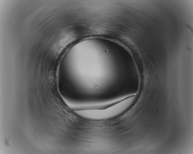 X0000099471210200805161103