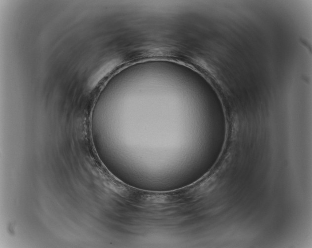 X0000099471211200805161103
