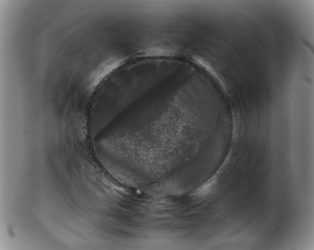 X0000099471213200805161103