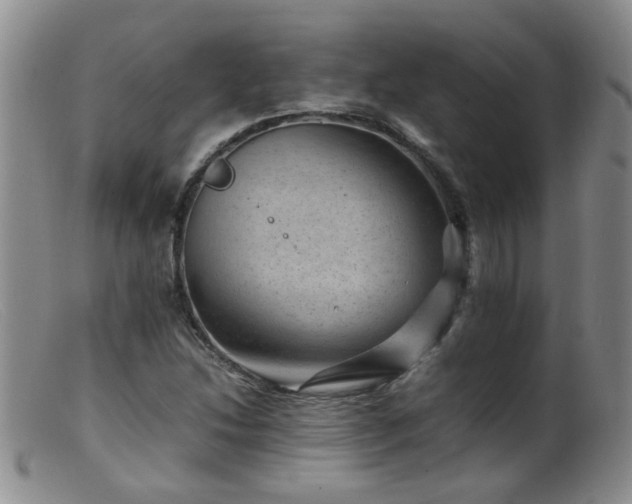 X0000099471214200805161103