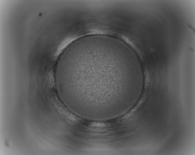 X0000099471215200805161103