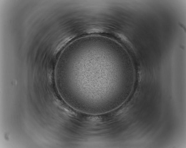 X0000099471217200805161103