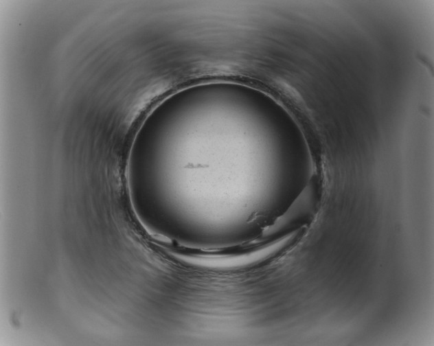 X0000099471218200805161103