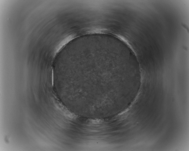 X0000099471219200805161103