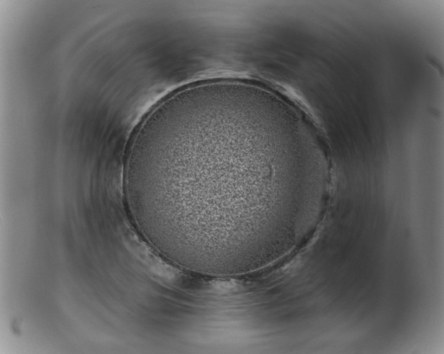 X0000099471220200805161103